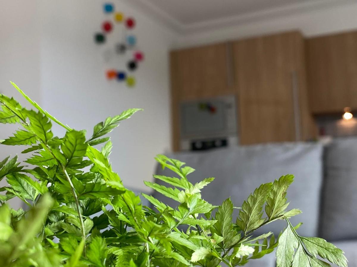 The Duplex Nairn- Spacious 3 Bedroom With Sunny Balcony المظهر الخارجي الصورة